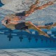 Jammer Finis Fuse - Slate Grey