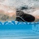 Jammer Finis Rival - Black