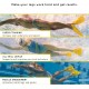 Mini palmes FINIS Edge Fin