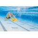 Finis Zoomers Gold