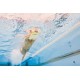 Foam Kickboard Finis Senior