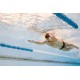 Tuba frontal adulte FINIS Swimmer's snorkel Rose
